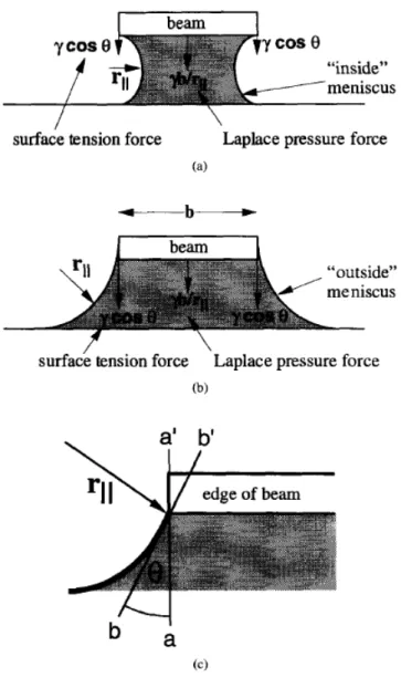 Figure 2-5-6 Fluid forces acting on a cantilever beam during drying process 