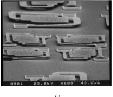 Figure 2-6-3 SEM images (a) The upper side is the pixel size of 75µm x 75µm, and the  lower side is 50µm x 50µm