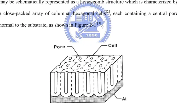 Figure 2-1 Schematic drawing of the idealized structure of anodic porous alumina  [3] 