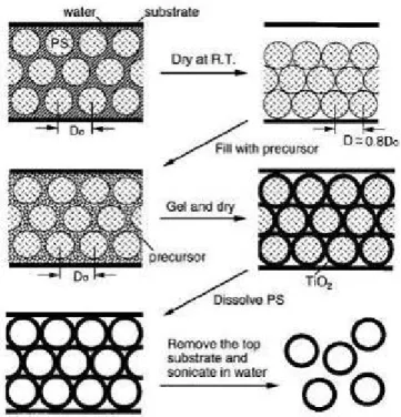 Figure 2-7 Schematic outline of the experimental procedure. A cross-sectional view  of the cell is shown here  [21] 