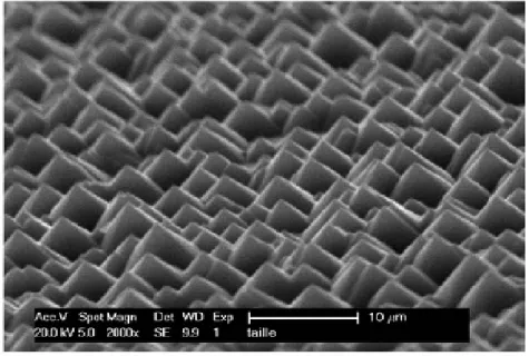 Figure 2-14 SEM image of a TMAH-textured wafer after optimized etching: 20 min  US+10min without agitation, 2% TMAH, 10% IPA, 80  o C  [34] 