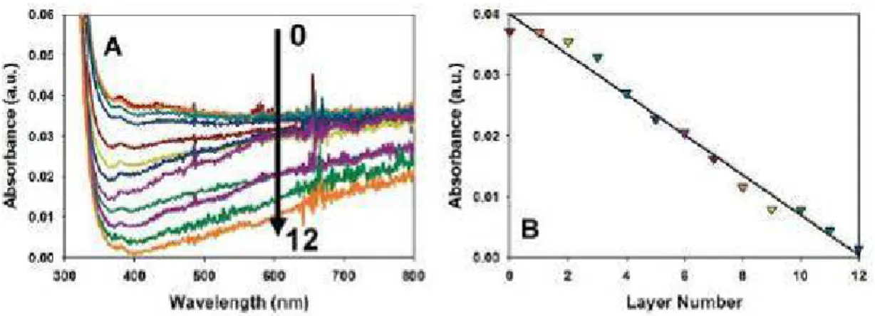 Figure 2-19 UV-vis characterization of PEI/CNWs assembly on a microscope glass  slide: (A) compilation of absorbance spectra for the first 12 bilayers, (B) absorbance  at 400 nm as function of bilayer number  [38] 