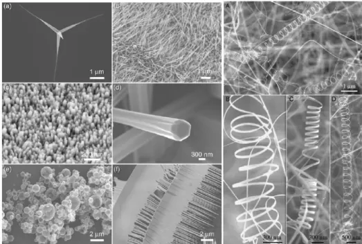 Fig. 1.2 Representative scanning electron microscopy images of various ZnO nanostructure morphologies  [32-34]