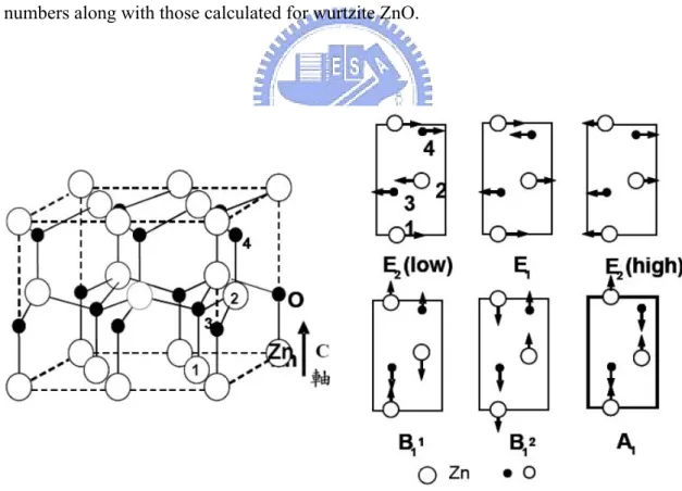 Fig. 2-4 Displacement vectors of the phonon modes in ZnO wurtzite structure. (after Jephcoat et al