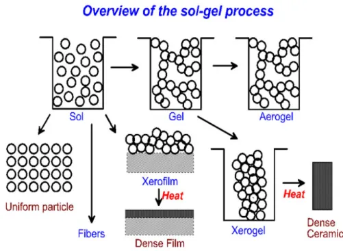 Fig. 3-1 Schematic of the rotes that one could follow within the scope of sol-gel processing [8]