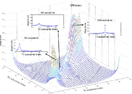 Fig. 3. The magnitude of a typical ICI channel matrix for a highly mobile user terminal 
