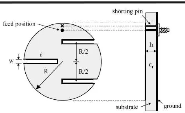 Figure 3.1 Geometry of a meandered circular microstrip antenna with a shorting pin.   