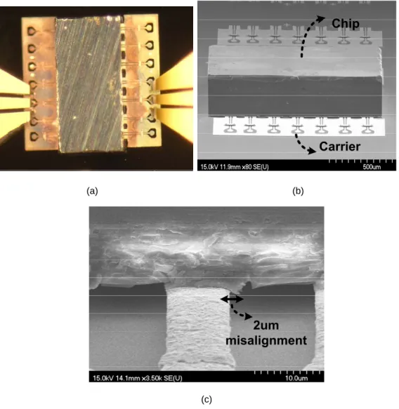 Fig. 2.20.  Reference planes of the flip-chip test structure by TRL measurements and EM simulations.CarrierChip     (a)                                                                                  (b) 2um misalignment(c) 