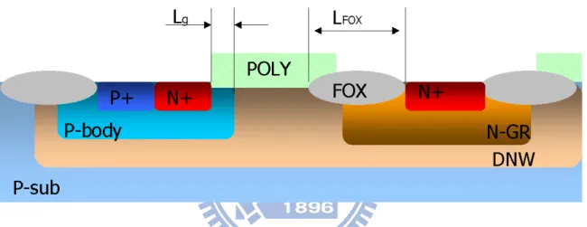 Fig. 2.2 Schematic cross-section of the RF LDMOS transistor. 
