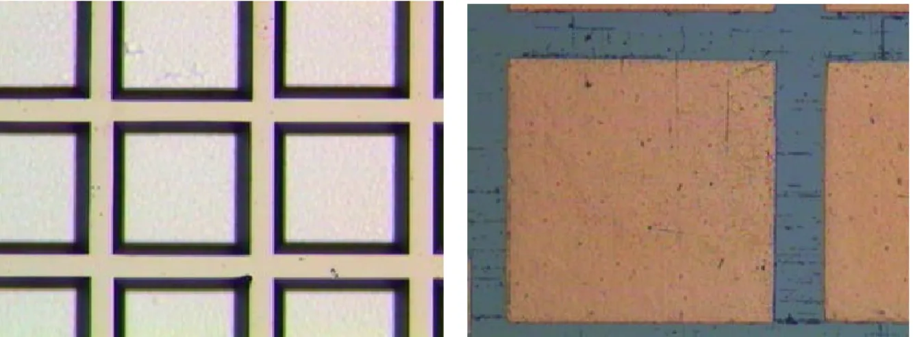 圖 5 250×250µm 2 試片經 500℃/30min 退火後情形。  在經過阻障層及蝕刻圖形的確定後，進行了流程圖【一】的製程方式，然而 所得到的結果卻是接合失敗（圖 6）。  圖 6 實驗流程【一】的實驗結果  經由觀察知在 500?C/30 min 的退火過程中只有矽走道有與 LED 接觸，因此在 經過的退火處理後，並未能成功完成接合。推測為電鍍銅含有較多的空孔 （Vacancy） 及缺陷，所以經過熱處理後其厚度約 0.3µm 的下降（圖 7）而造成電鍍銅未能與 LED 接觸，為了證實我們的推測