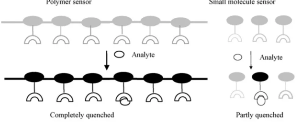 Fig  1.26.  This schematic representation demonstrates sensory signal ampliﬁcation using the  molecular wire approach