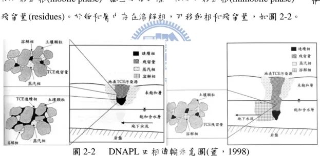 圖 2-2  DNAPL 四相傳輸示意圖(董，1998) 