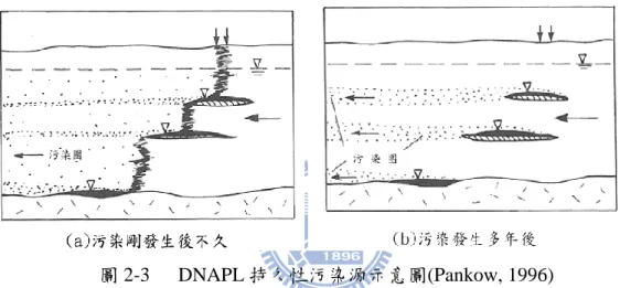 圖 2-3  DNAPL 持久性污染源示意圖(Pankow, 1996) 