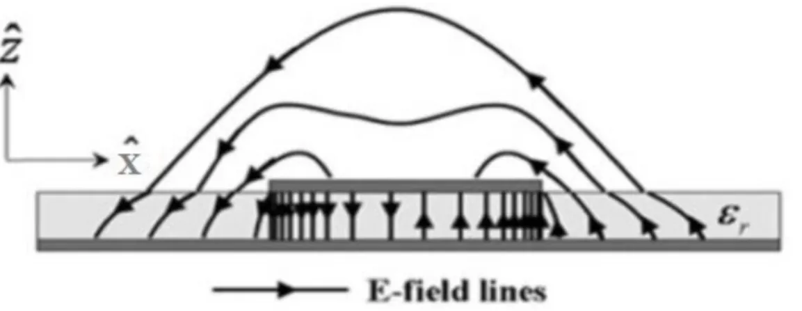 Figure 2-1. The electric field distribution of the first higher order mode of the  micro-strip line.[5]   
