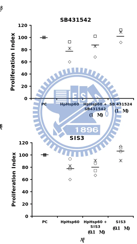 Figure 10  A.            SB431542020406080100120PC HpHsp60 HpHsp60 +SB431542(1然) SB 431524(1然)Proliferation Index B