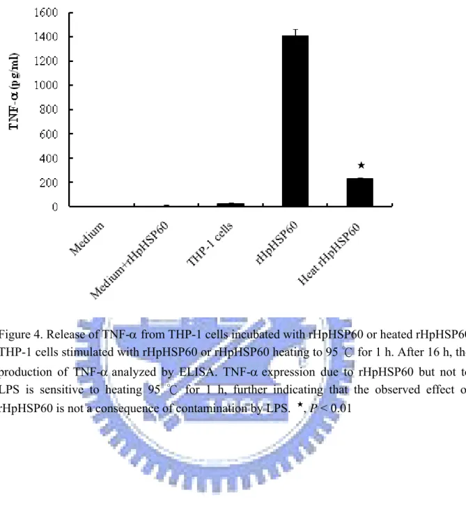 Figure 4. Release of TNF-α from THP-1 cells incubated with rHpHSP60 or heated rHpHSP60