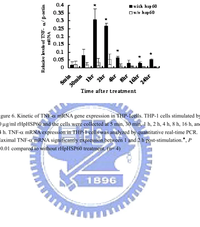 Figure 6. Kinetic of TNF-α mRNA gene expression in THP-1cells. THP-1 cells stimulated by  10 μg/ml rHpHSP60 and the cells were collected at 5 min, 30 min, 1 h, 2 h, 4 h, 8 h, 16 h, and  24 h