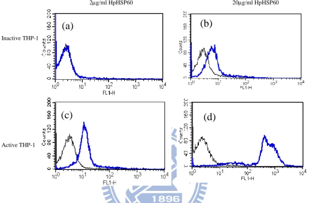 Figure  3  The  binding  intensities  of  HpHSP60  for  LPS-activated  THP-1 cells were dramatically increased than inactive THP-1 cells