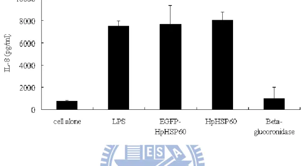 Figure 5 EGFP-HpHSP60 induced the secretion of pro-inflammatory  cytokine  IL-8.  THP-1  cells  were  treated  with  10g  EGFP-HpHSP60  or  HpHSP60  for  24  hours  in  5%  CO 2   at  37℃  incubator