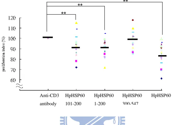 Figure 10 Treatment with HpHSP60 and different fragment proteins  to  PBMCs  decreases  the  proliferation  in  the  present  of  anti-CD3  antibody
