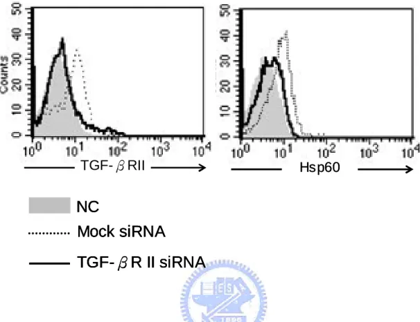 Fig. 7 TGF-βRII expression and HpHsp60 binding pattern of TGF-βRII siRNA-treated  THP-1 cells