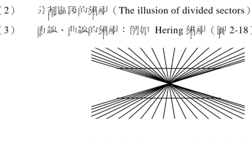 圖 2- 18     Hering 錯視，受到放射狀的斜線影響，兩條水平線看起來向外膨脹，成為曲線。 