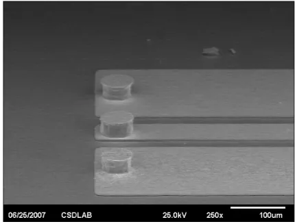 Figure 3.6 SEM image of the gold circuits and gold bumps  3.1.2 Chip gold circuits 
