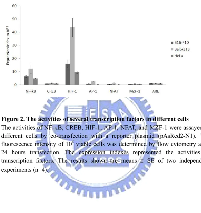 Figure 2. The activities of several transcription factors in different cells 