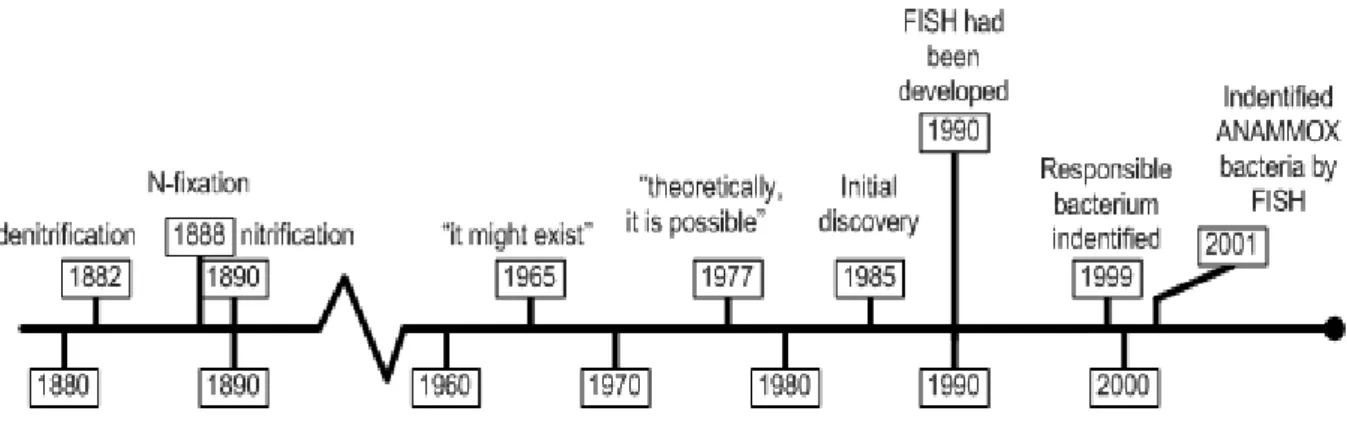 Fig. 4 Timelines of discoveries in the fields of ammonium and Anammox [4]. 