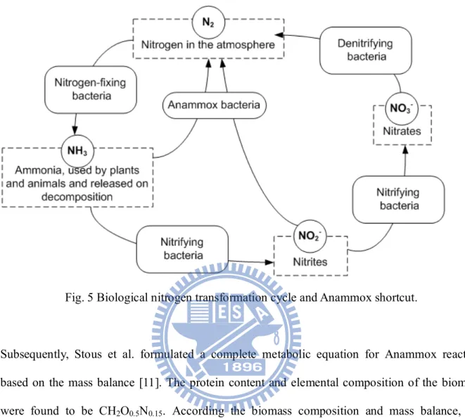 Fig. 5 Biological nitrogen transformation cycle and Anammox shortcut. 