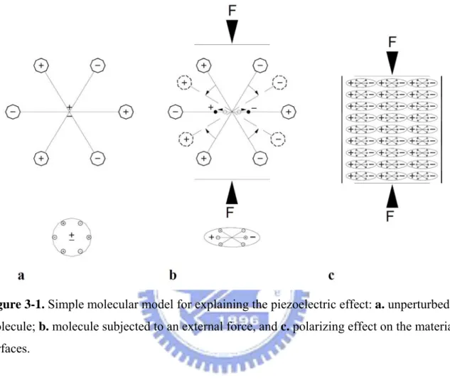Figure 3-1. Simple molecular model for explaining the piezoelectric effect: a. unperturbed  molecule; b