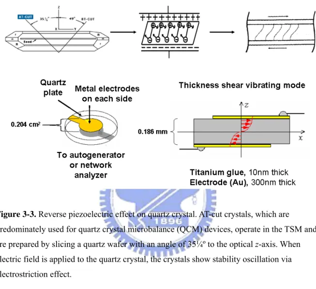 Figure 3-3. Reverse piezoelectric effect on quartz crystal. AT-cut crystals, which are 