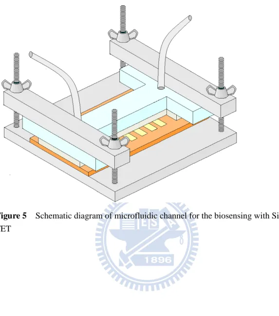 Figure 5    Schematic diagram of microfluidic channel for the biosensing with Si NW  FET 