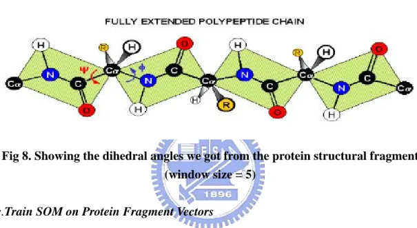 Fig 8. Showing the dihedral angles we got from the protein structural fragment  (window size = 5) 