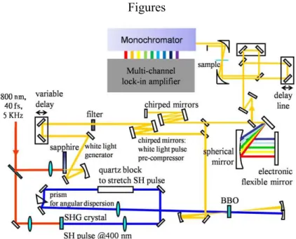 Fig. 1. Schematic plot of NOPA setup. 