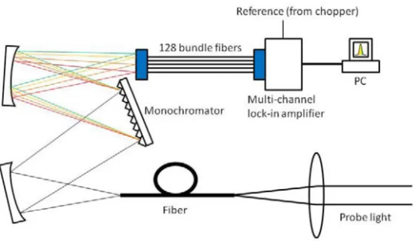 Fig. 4. Schematic of the multichannel lock-in amplifier with a pump-probe measurement  system