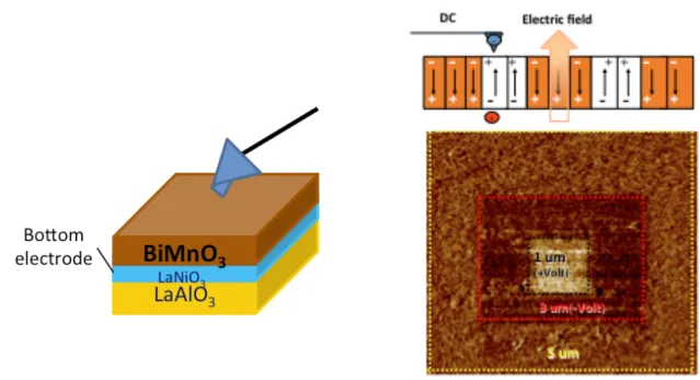FIG.  11.  The  phase  diagram  scanned  by  means  of  piezoelectric  force  microscopy  dependence  on  applied dc bias as different direction consist with different regions