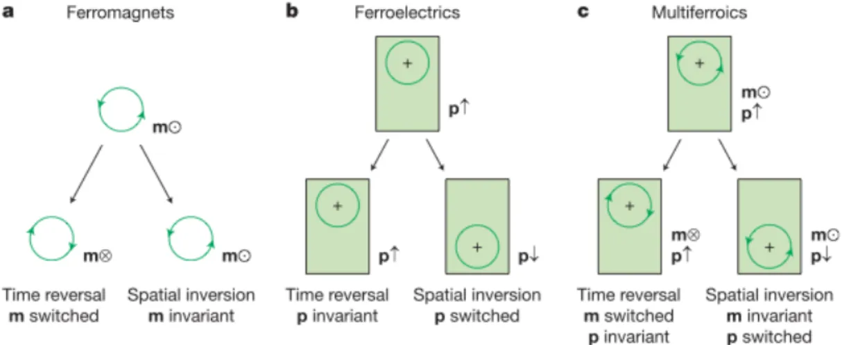 Fig. 1. Time-reversal and spatial-inversion symmetry in ferroics. (a) Ferromagnets. The local magnetic  moment m may be represented classically by a charge that dynamically traces an orbit, as indicated by  the arrowheads