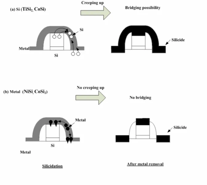 Fig 1-1 With/without creep up phenomenon of metal silicides. 