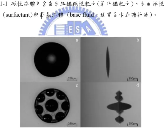 圖 1-2 微小磁性流體液滴受一垂直磁場之影響下，產生之羅森史維格不穩定 現象[3]。 