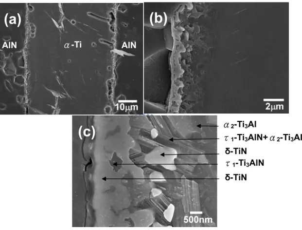 圖 3.1.1  （a）AlN/Ti/AlN 在 1000℃經過 3 h 持溫反應後 的微觀結構圖； （b） （c）為 Fig（a）之局部放大影像（SEM； 試片經 Kroll reagent 腐蝕）。 