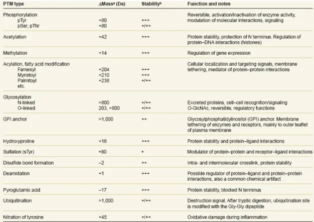 Table 1 a . Some common and important post-translational modifications. 