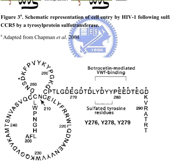 Figure 4 a  GPIbα from amino acid 200-294 