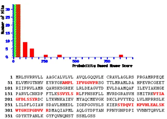 Figure 10. The protein of LC-MS-MS fingerprinting analysis was identified for  human TPST2