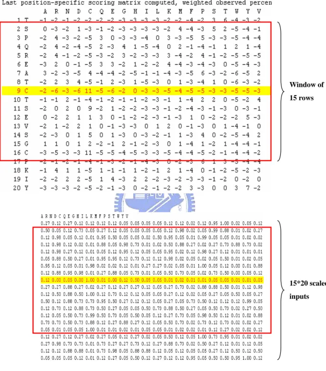 Figure 1. An outline of the PSSM input vectors, which shows how the PSI-BLAST score  matrices are processed