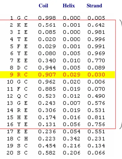 Figure 2. The input vectors called “secondary structure profiles”. 