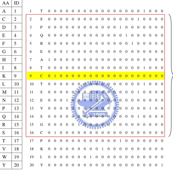 Figure 4. The input vectors called “amino acid in binary coding”. 
