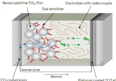 Fig. 2-1 is the structure of DSSC. DSSC is a sandwich structure consist of TCO  glass, dye sensitized TiO 2  layer, electrolyte and platinum coated counter electrode