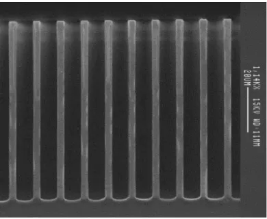 Fig. 2.5 SEM picture of high aspect ratio trench [44] 