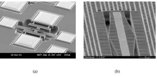 Fig. 2.6 (a) Resonator and (b) Accelerator fabricated by HARPSS and SCREAM technology 